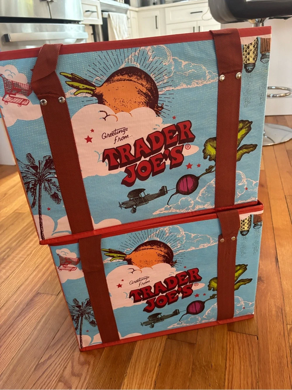 Set of two TRADER JOE'S Stand Up Collapsible Tote Grocery Bag